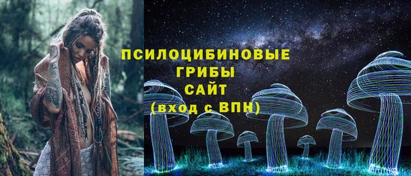 ALPHA-PVP Медвежьегорск