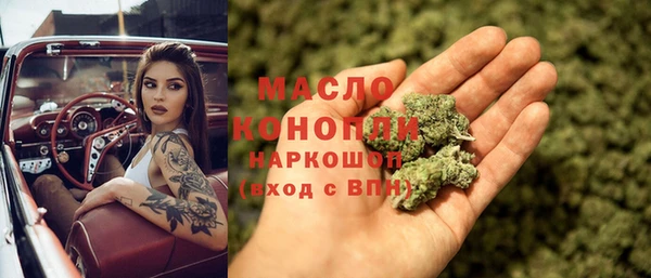 гашик Мегион