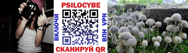 Псилоцибиновые грибы прущие грибы  сколько стоит  площадка формула  Терек 